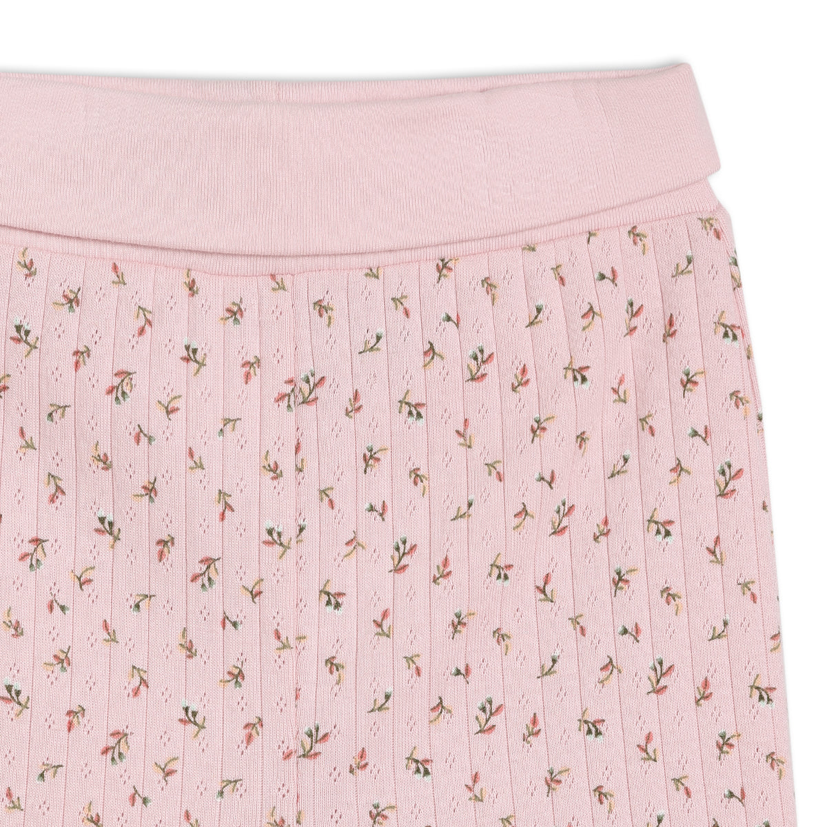 Baby Girls 3pk Floral Printed & Solid Leggings, Multicolour