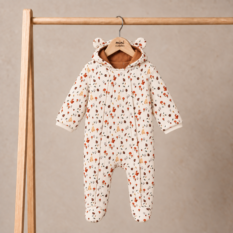 Baby Unisex Novelty Printed Pram Suit, Multicolour