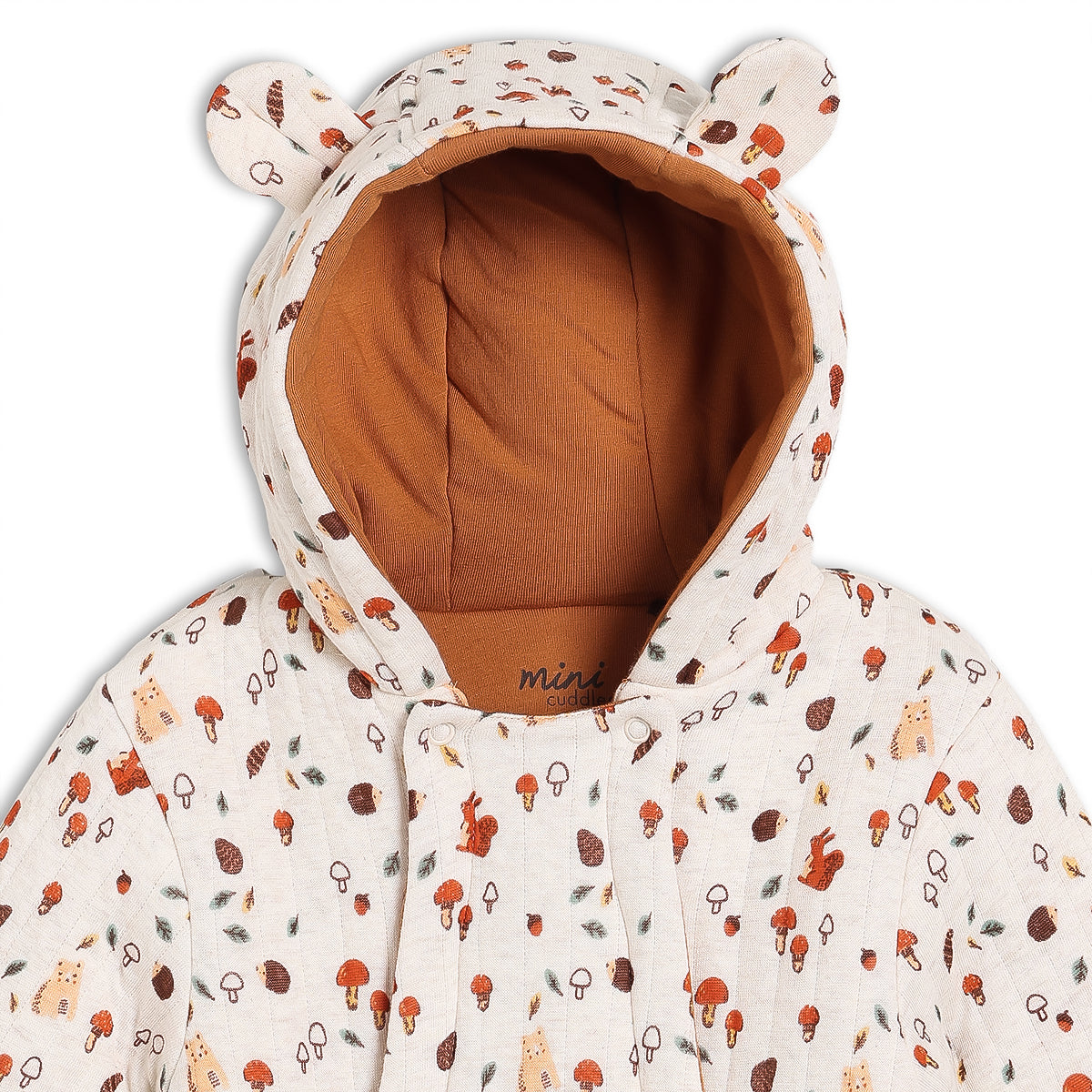 Baby Unisex Novelty Printed Pram Suit, Multicolour