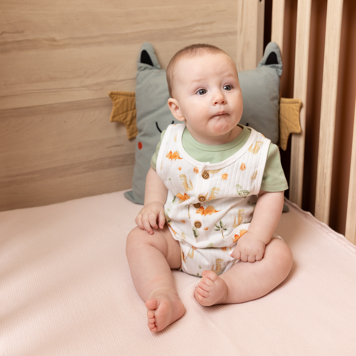 Baby Boys Dinosaur Printed Dungaree Set With Matching Cap, Multicolour