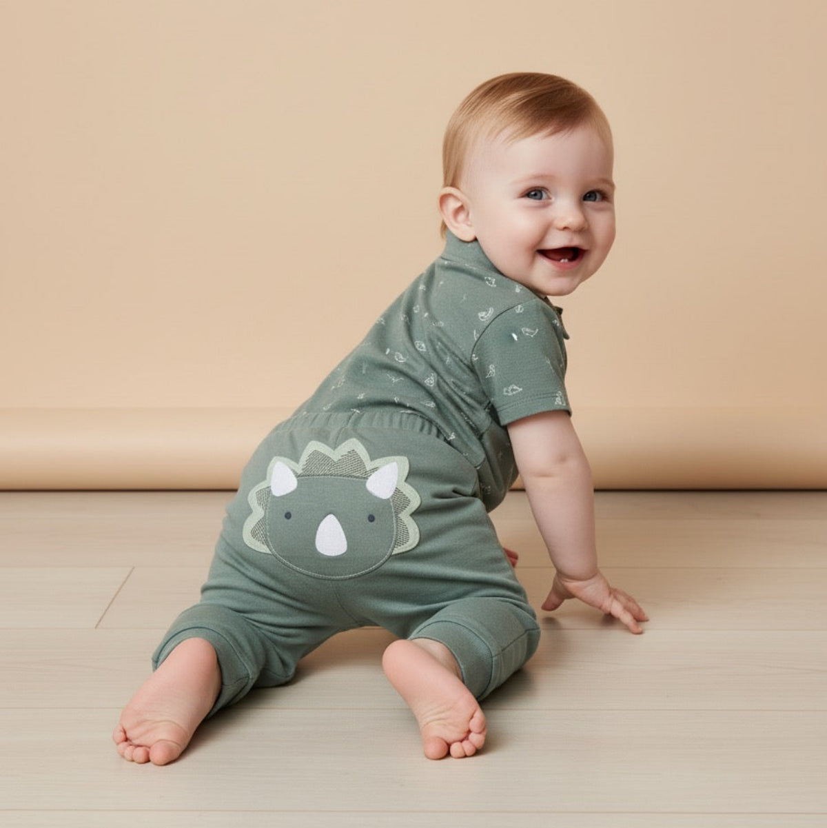 Baby Boys Joggers With Dinosaur Applique, Green