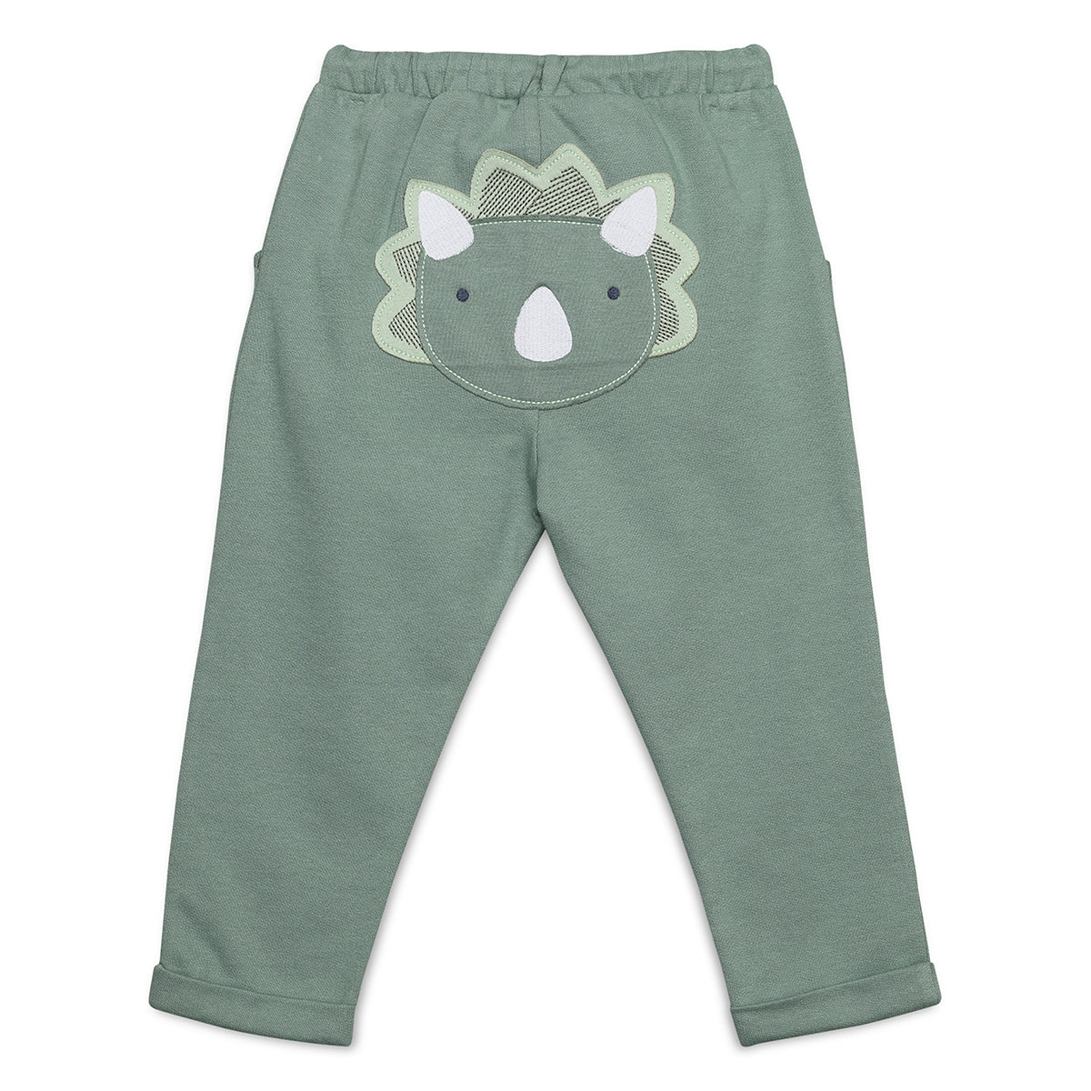 Baby Boys Joggers With Dinosaur Applique, Green