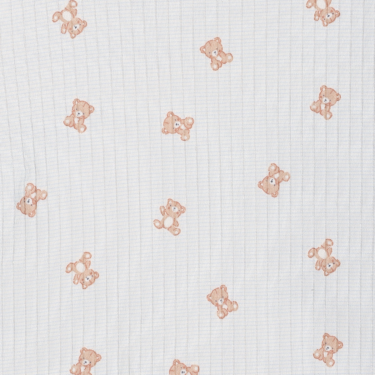 Baby Boy Teddy Print 2pc Set, Blue