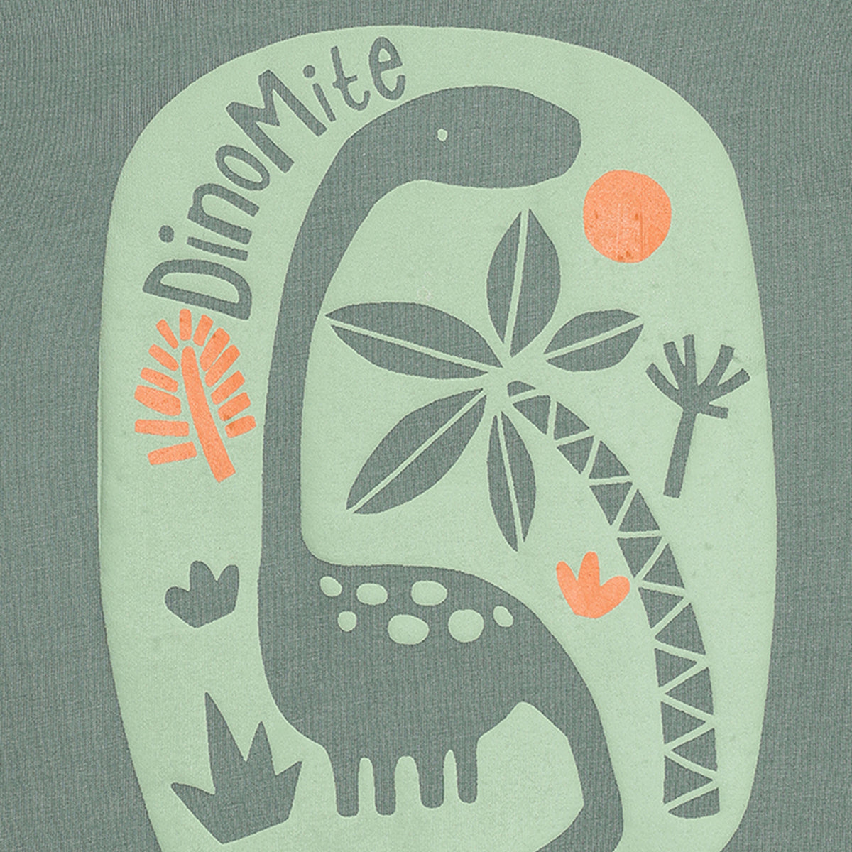 Baby Boys 3pk Dinosaur Print T-Shirts, Multicolour