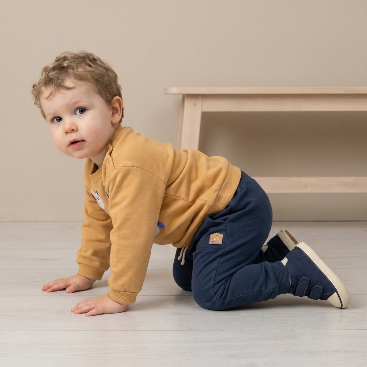 Boys Yellow Single Sweat Shirt