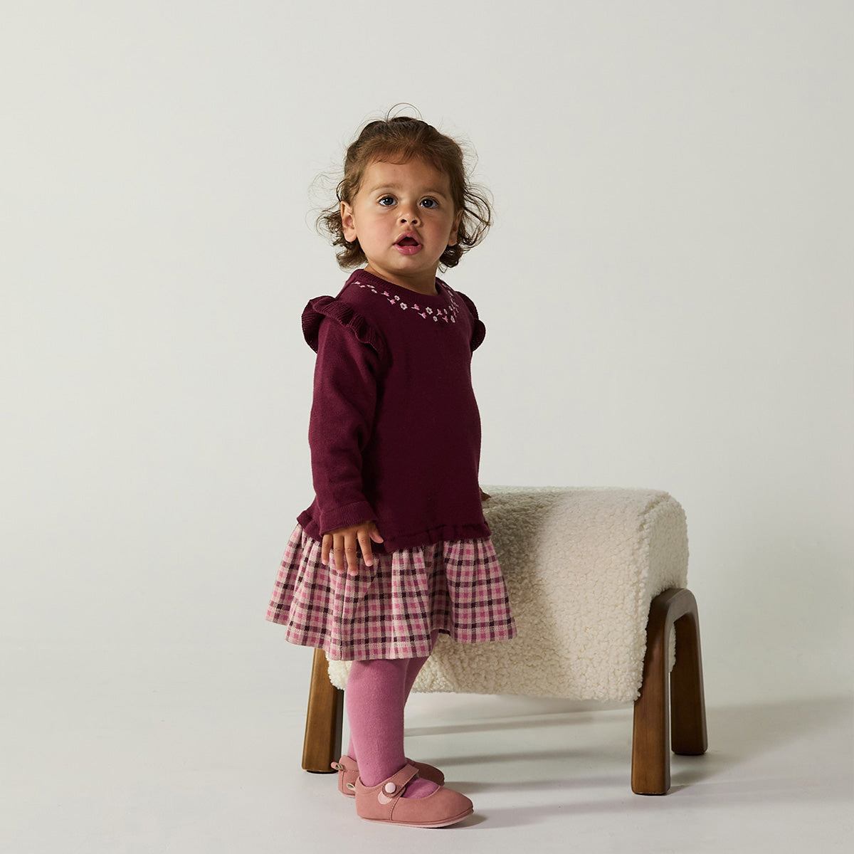 Baby Girls Floral Embroidered Checked Dress, Plum