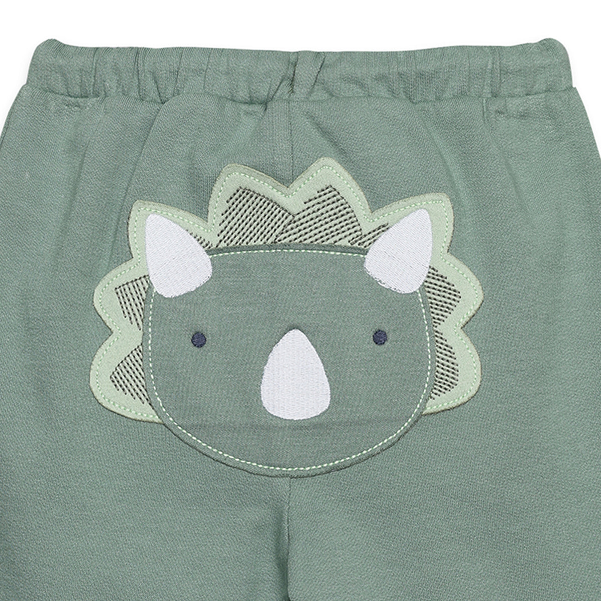 Baby Boys Joggers With Dinosaur Applique, Green