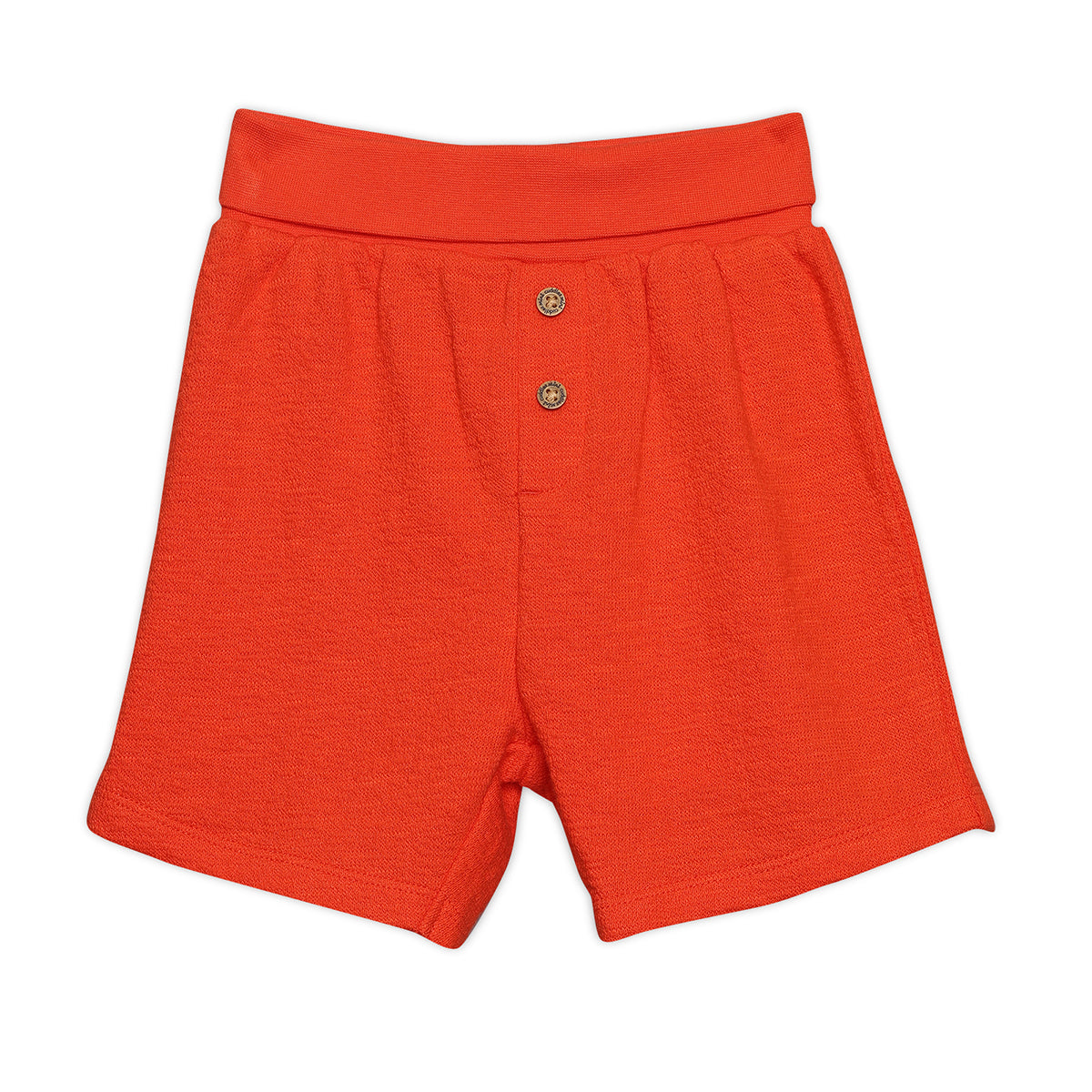 Baby Boys Vehicle Print 2pc Set, Multicolour