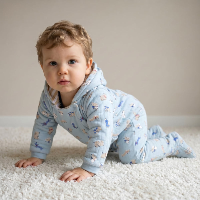 Boys Blue Single Pram Suit