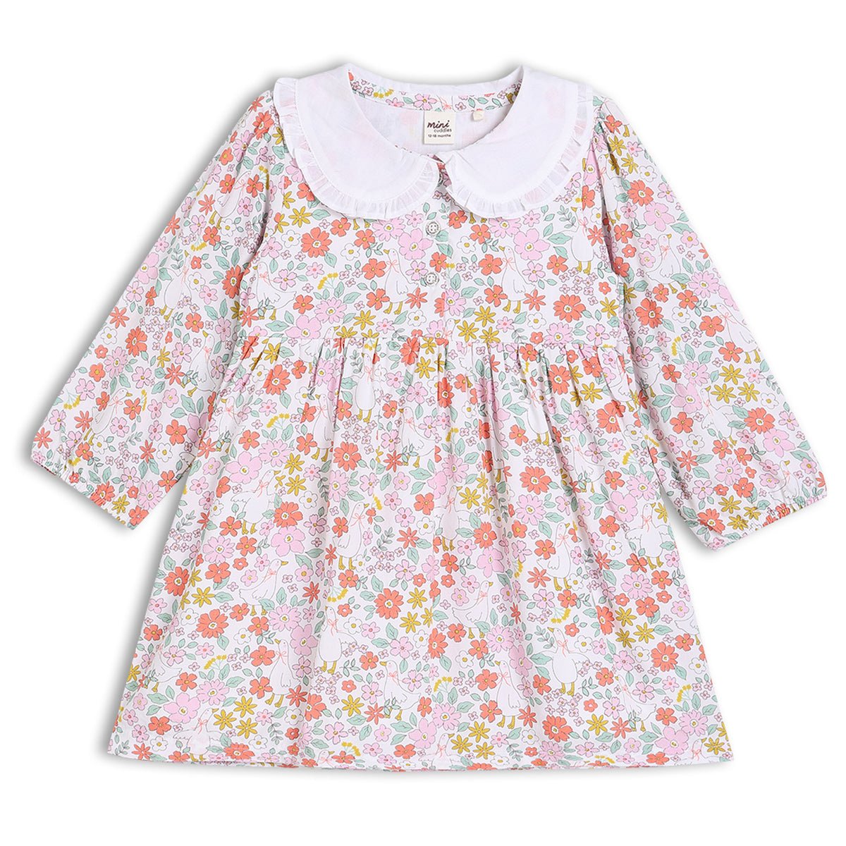 Baby Girls Peter Pan Collar Floral Printed Dress with Tights, Multicolour - Minicuddles